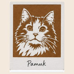 Pamuk kartı