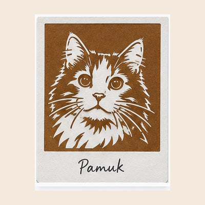 Ek Desen Kartı – Pamuk
